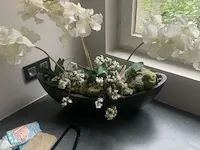 Plant in pot