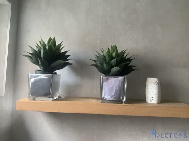 Plant in pot - afbeelding 2 van  2