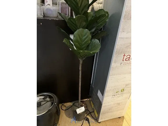 Plant - afbeelding 1 van  4