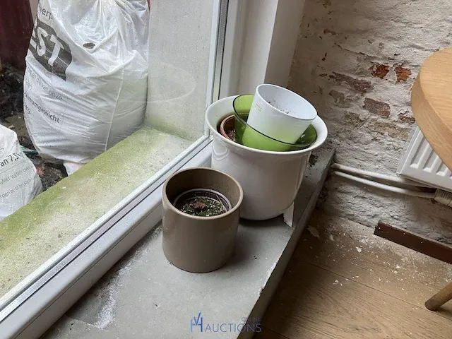 Plant - afbeelding 2 van  4