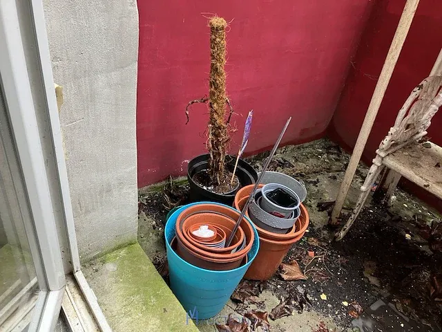 Plant - afbeelding 3 van  4