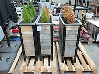 Plantenbak (3x) - afbeelding 2 van  3