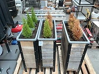 Plantenbak (3x) - afbeelding 3 van  3