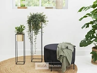 Plantenhouder - afbeelding 1 van  5