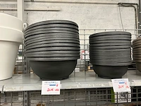 Plantenschaal - afbeelding 1 van  4