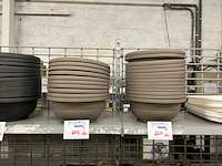 Plantenschaal - afbeelding 1 van  4