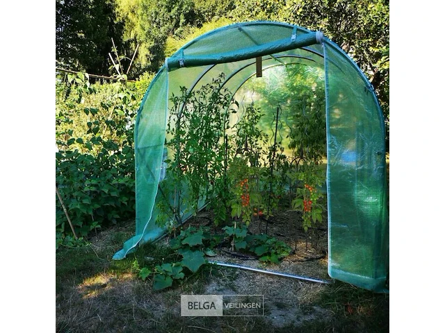 Plantensteun klimplanten - afbeelding 9 van  9