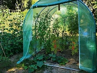 Plantensteun klimplanten - afbeelding 9 van  9