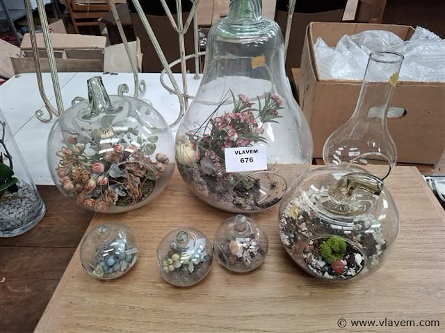 Plantenterrarium - afbeelding 1 van  1