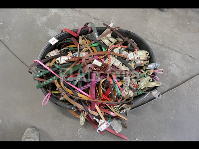 Plastic mand en zijn grote inhoud aan hondenhalsbanden - afbeelding 4 van  4