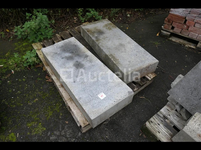 Platte leisteen, betonblokken, hardsteen - afbeelding 2 van  10