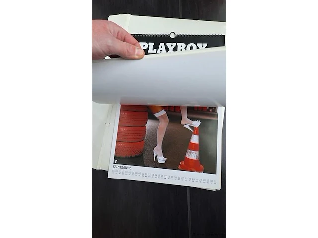 Playboy kalender 2005 - afbeelding 3 van  6