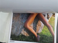 Playboy kalender 2005 - afbeelding 4 van  6