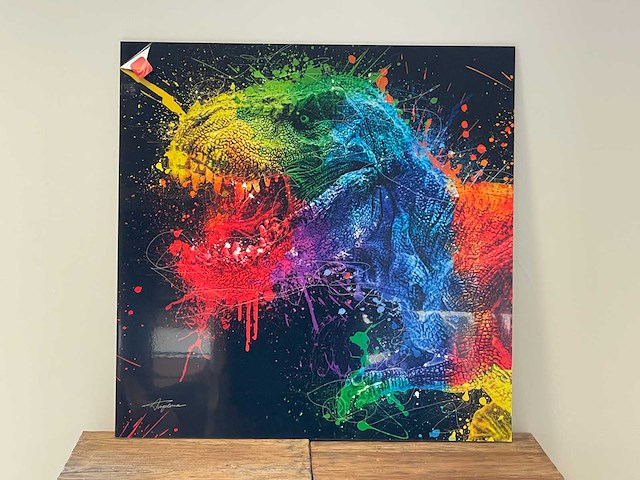 Plexikader dino 70cm x 70cm zwart - afbeelding 1 van  1