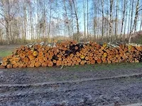 Plm 10 stère berk - afbeelding 1 van  1