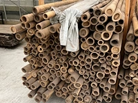 Plm 150 bamboestokken(3m) - afbeelding 2 van  5