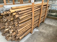 Plm 150 bamboestokken(3m) - afbeelding 1 van  5