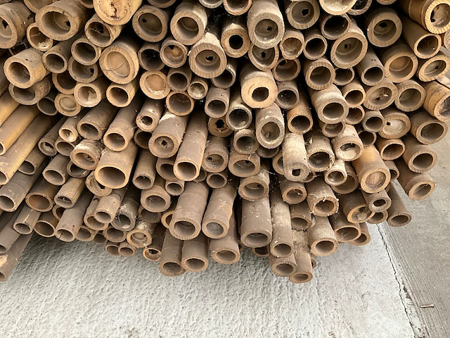 Plm 150 bamboestokken(3m) - afbeelding 4 van  5