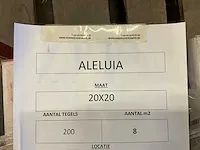 Plm 21m2 diverse wand/vloertegels aleluia - afbeelding 3 van  8