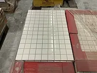 Plm 22m2 vloer/wandtegel tau revestimento - afbeelding 2 van  5