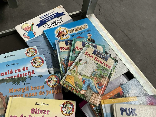 Plm 28 diverse kinderboeken en 1 decoratieve kader - afbeelding 4 van  7