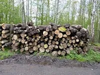 Plm 30 stère linde + berk
