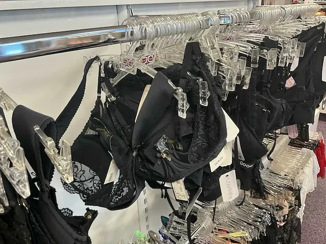 Plm 300 diverse lingeriesets en bh's en vrouwenondergoed - afbeelding 6 van  24