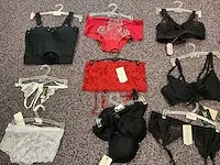 Plm 300 diverse lingeriesets en bh's en vrouwenondergoed - afbeelding 20 van  24