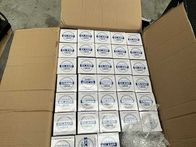 Plm 33 led ampulles silamp - afbeelding 2 van  2