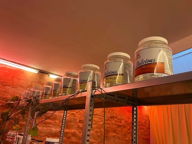 Plm. 40 diverse drinkbekers nutrition en diverse potten - afbeelding 9 van  22