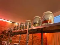 Plm. 40 diverse drinkbekers nutrition en diverse potten - afbeelding 9 van  22