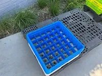 Plm 45 diverse pvc opbergbakken - afbeelding 3 van  11