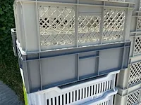 Plm 45 diverse pvc opbergbakken - afbeelding 5 van  11