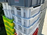 Plm 45 diverse pvc opbergbakken - afbeelding 6 van  11
