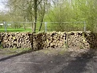Plm 6 stère 1/3 wilg, 2/3 linde