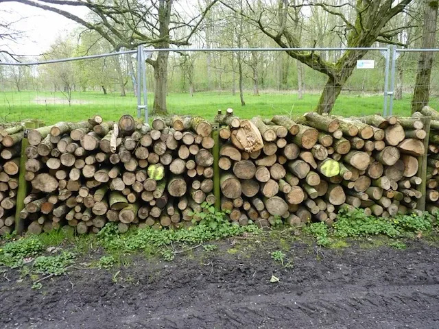 Plm 6 stère mix 80% hardhout - afbeelding 1 van  2