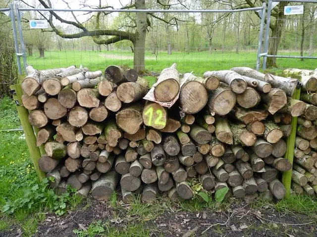 Plm 6 stère mix 80% hardhout - afbeelding 2 van  2