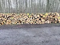 Plm 8,5 stère linde - afbeelding 1 van  1