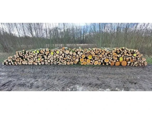 Plm 8,5 stère linde/wilg - afbeelding 1 van  1