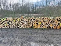 Plm 8,5 stère linde/wilg - afbeelding 1 van  1