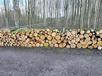 Plm 9 stère linde - afbeelding 1 van  1