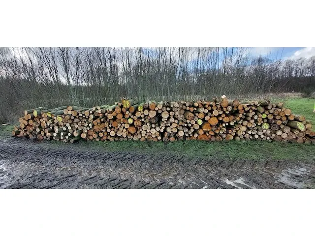 Plm 9 stère linde/wilg - afbeelding 1 van  1