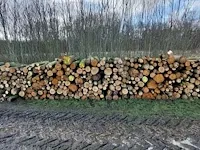 Plm 9 stère linde/wilg - afbeelding 1 van  1
