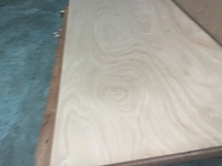 Plywoodplaten okoume