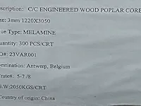 Plywoodplaten populier - afbeelding 4 van  4
