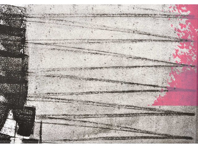 Pol mara - zeefdruk - ingelijst - afbeelding 5 van  7