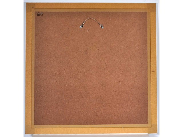 Pol mara - zeefdruk - ingelijst - afbeelding 7 van  7