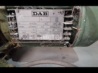 Pomp dab - afbeelding 2 van  5