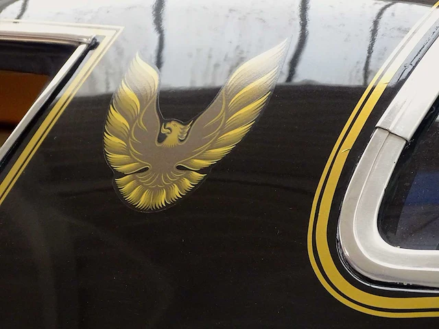 Pontiac '79 firebird trans am 6.6 v8 '10th anniversary' - afbeelding 5 van  53