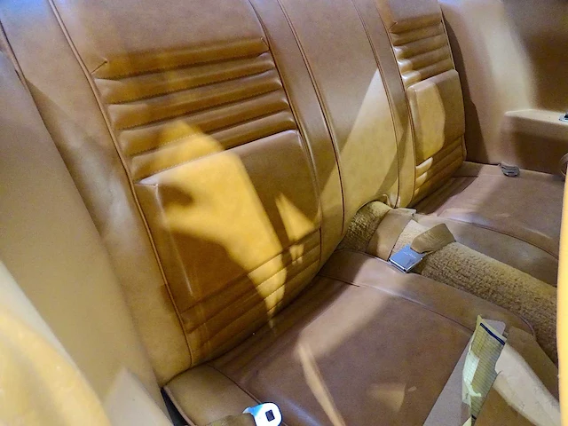 Pontiac '79 firebird trans am 6.6 v8 '10th anniversary' - afbeelding 19 van  53